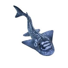 Load image into Gallery viewer, Shark Ray - 226329