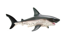 Load image into Gallery viewer, Salmon Shark - 100690