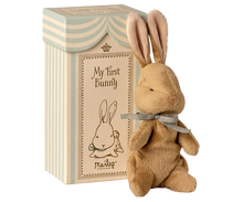 Load image into Gallery viewer, My First Bunny, Light Blue
