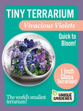 Load image into Gallery viewer, Tiny Terrariums Flowering Counter Display with 6 Varieties