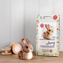 Load image into Gallery viewer, Baby Bunny Needle Felting Craft Kit
