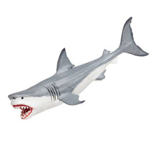 Load image into Gallery viewer, Megalodon - 303329
