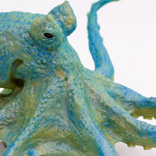Load image into Gallery viewer, Octopus - 200929