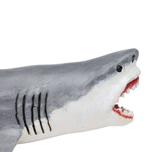 Load image into Gallery viewer, Megalodon - 303329