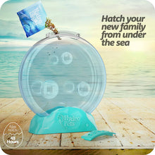 Load image into Gallery viewer, HydroPets Live Sea Pets Habitat Kit, Light Up Tank