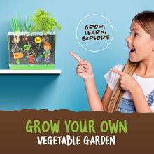 Load image into Gallery viewer, Root Viewer Kit for Kids