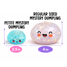 Load image into Gallery viewer, Fun Doh Squishy Mystery Mini Petite 2.5" Dumpling Toy: Wholesale Price