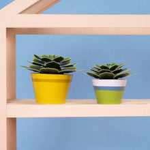 Load image into Gallery viewer, Make Your Own Mini Paper Succulent Plant: Unit