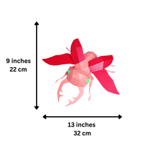 Load image into Gallery viewer, Beetle Origami Model