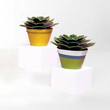 Load image into Gallery viewer, Make Your Own Mini Paper Succulent Plant: Unit