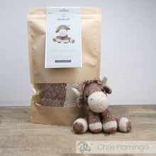 Load image into Gallery viewer, DIY Knitting Kit - Luke Highlander