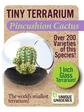 Load image into Gallery viewer, Tiny Terrarium Cactus Counter Display with 6 Varieties