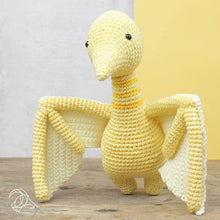Load image into Gallery viewer, DIY Crochet Kit - Pteranodon