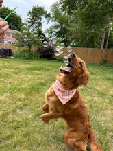 Load image into Gallery viewer, BubbleLick™ Pets Peanut Butter Swirl bubbles