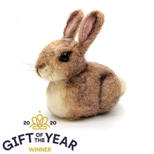 Load image into Gallery viewer, Baby Bunny Needle Felting Craft Kit