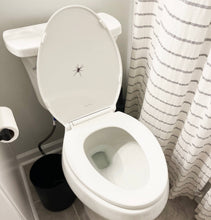 Load image into Gallery viewer, PRANK CLEAR STICKER: Spider (April Fools Practical Joke)
