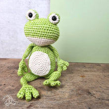 Load image into Gallery viewer, DIY Crochet Kit - Vinny Frog
