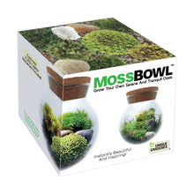 Load image into Gallery viewer, MossBowl Glass Terrarium
