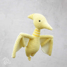 Load image into Gallery viewer, DIY Crochet Kit - Pteranodon
