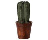 Flower pot with cactus