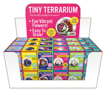Load image into Gallery viewer, Tiny Terrariums Flowering Counter Display with 6 Varieties
