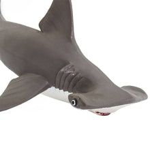 Load image into Gallery viewer, Hammerhead Shark Baby - 267929

