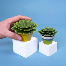 Load image into Gallery viewer, Make Your Own Mini Paper Succulent Plant: Unit
