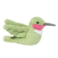Douglas Nectar Hummingbird