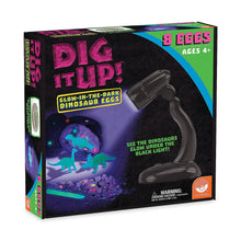 Load image into Gallery viewer, Dig It Up!: Glow In The Dark Dinosaurs

