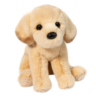 Ace YELLOW LAB