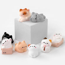 Load image into Gallery viewer, Random Cozy Cat Miniature Figure– Blind Box Series
