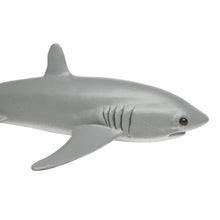 Load image into Gallery viewer, Thresher Shark - 200229
