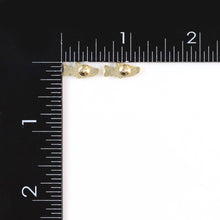 Load image into Gallery viewer, Salmon Earrings
