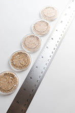 Load image into Gallery viewer, Japanese Star Sand
