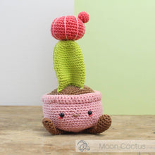 Load image into Gallery viewer, DIY Crochet Kit - Moon Cactus
