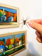 Load image into Gallery viewer, PRANK CLEAR STICKER: Spider (April Fools Practical Joke)
