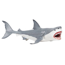 Load image into Gallery viewer, Megalodon - 303329
