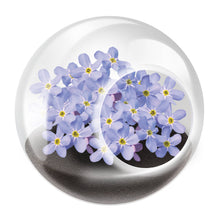 Load image into Gallery viewer, Tiny Terrariums Flowering Counter Display with 6 Varieties
