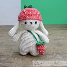Load image into Gallery viewer, DIY Crochet Kit - Ilse Rabbit
