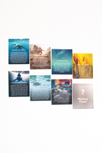 Load image into Gallery viewer, Fossil Blind Bag
