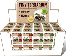Load image into Gallery viewer, Tiny Terrarium Carnivorous Glass Terrarium Counter Display

