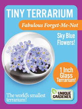 Load image into Gallery viewer, Tiny Terrariums Flowering Counter Display with 6 Varieties
