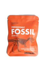 Load image into Gallery viewer, Fossil Blind Bag
