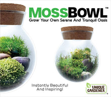 Load image into Gallery viewer, MossBowl Glass Terrarium
