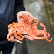 Load image into Gallery viewer, Octopus - 267229
