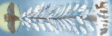 Load image into Gallery viewer, Winter by Kelsey E. Gross: Hardcover; 32 pages / English
