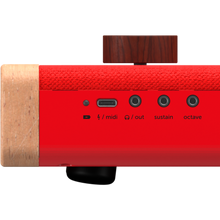 Load image into Gallery viewer, Loog Piano
