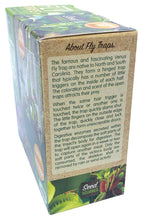 Load image into Gallery viewer, Fascinating Flytraps Seed Square Terrarium

