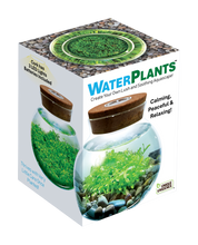 Load image into Gallery viewer, WaterPlants
