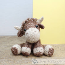 Load image into Gallery viewer, DIY Knitting Kit - Luke Highlander
